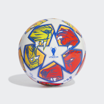 IN9337 - Mini míč UCL